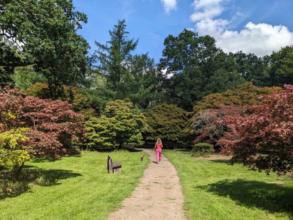Three images showing the sites of Westonbirt Arboretum. The first is of Jenn & Finch in front of a wolf statue, the second as they walk through a maple forest and the third is them walking along the treetop walkway.